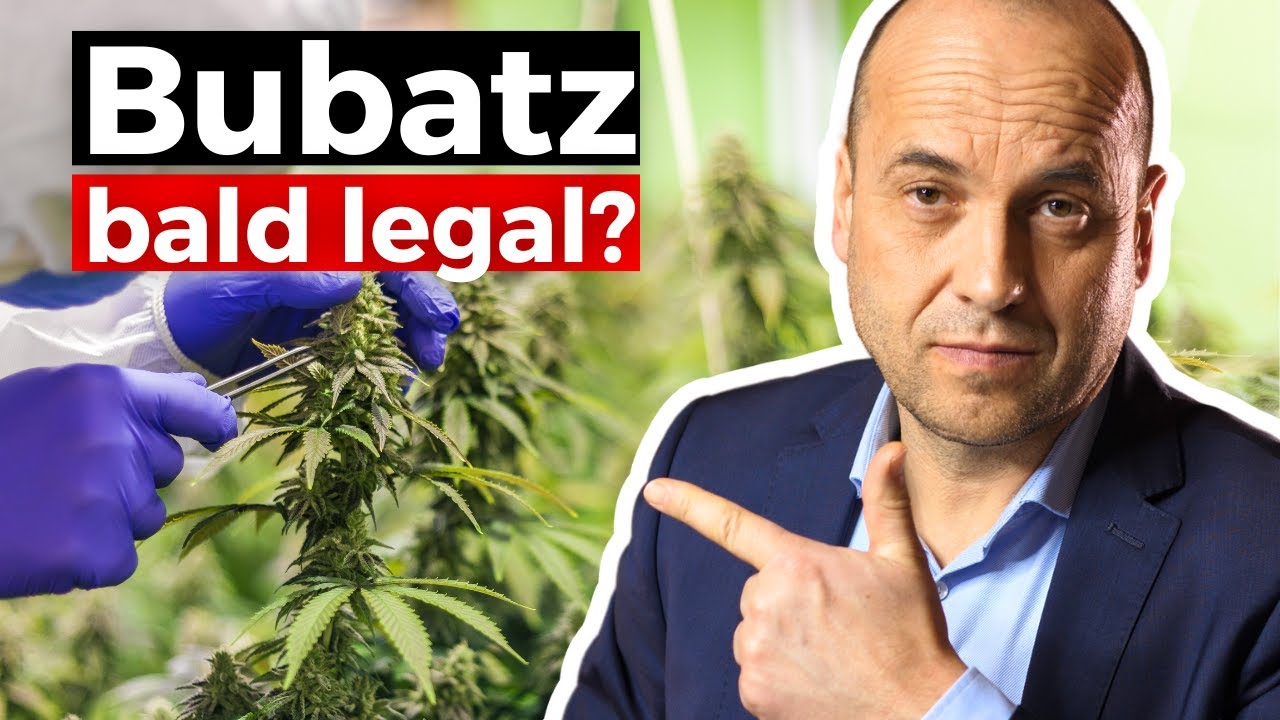 Cannabis-Legalisierung: Bubatz bald legal?