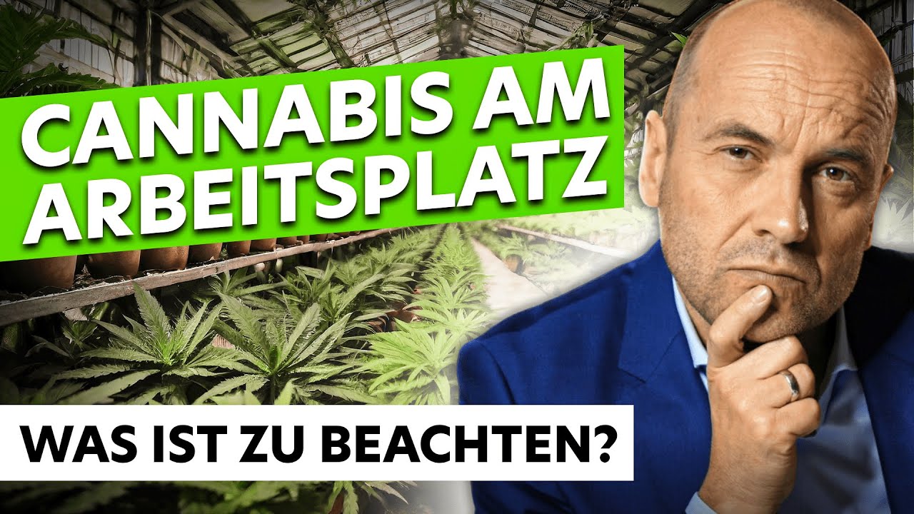 Cannabis am Arbeitsplatz – Was ist zu beachten?